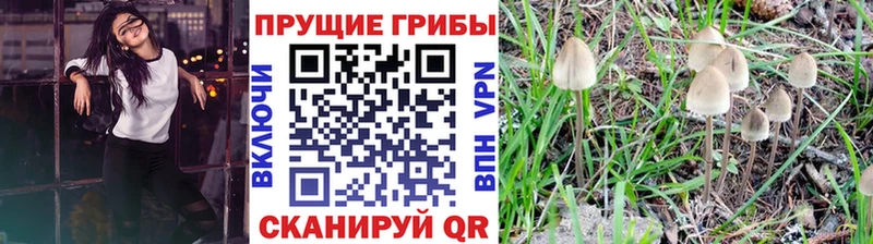 мега   Сердобск  Галлюциногенные грибы мухоморы  где купить наркоту 