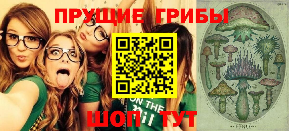 Галлюциногенные грибы MAGIC MUSHROOMS  Псилоцибиновые грибы Cubensis  Вход с VPN  Сердобск 